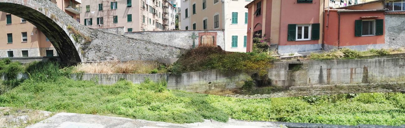 La sponda sinistra prima dei lavori, alveo invaso dalla vegetazione